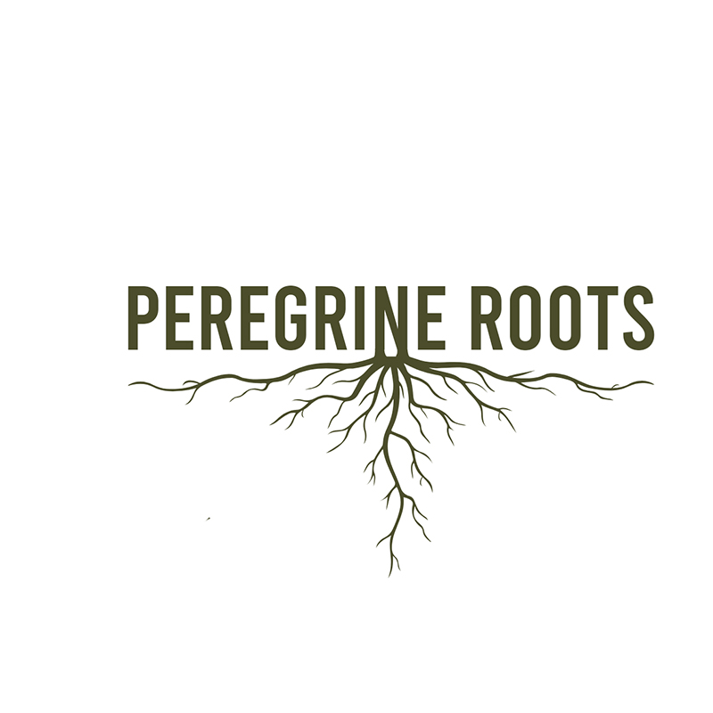 Peregrine%20Roots